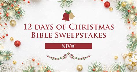 sweepstakes bible|bible 2022 sweepstakes.